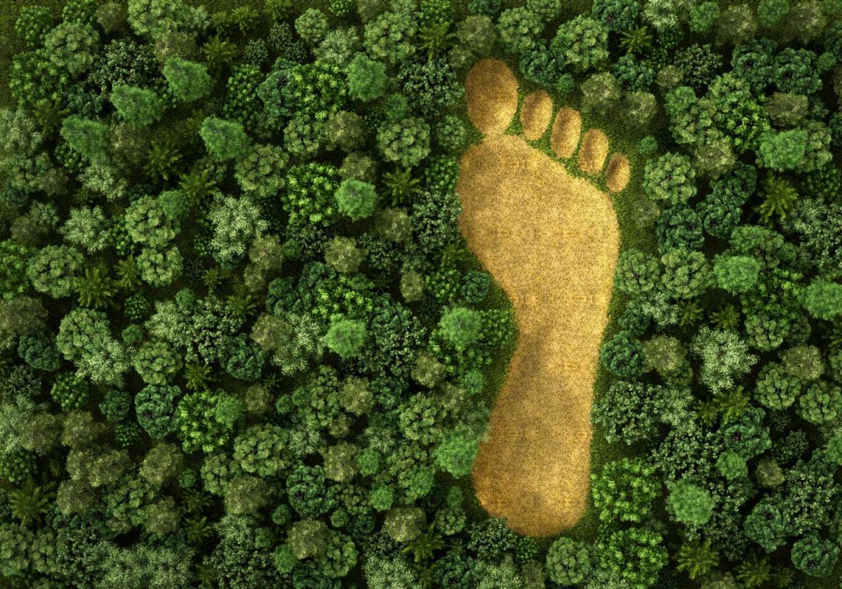 carbon footprint