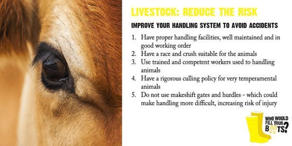 livestock,-reduce-the-risk